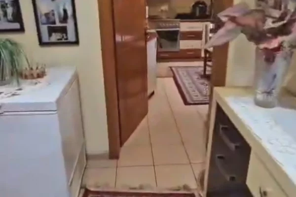 Shtepi me qera Apartament ne Tirane, 2+1, Mobilimi E mobiluar, Pagesa 60,000  Leke.