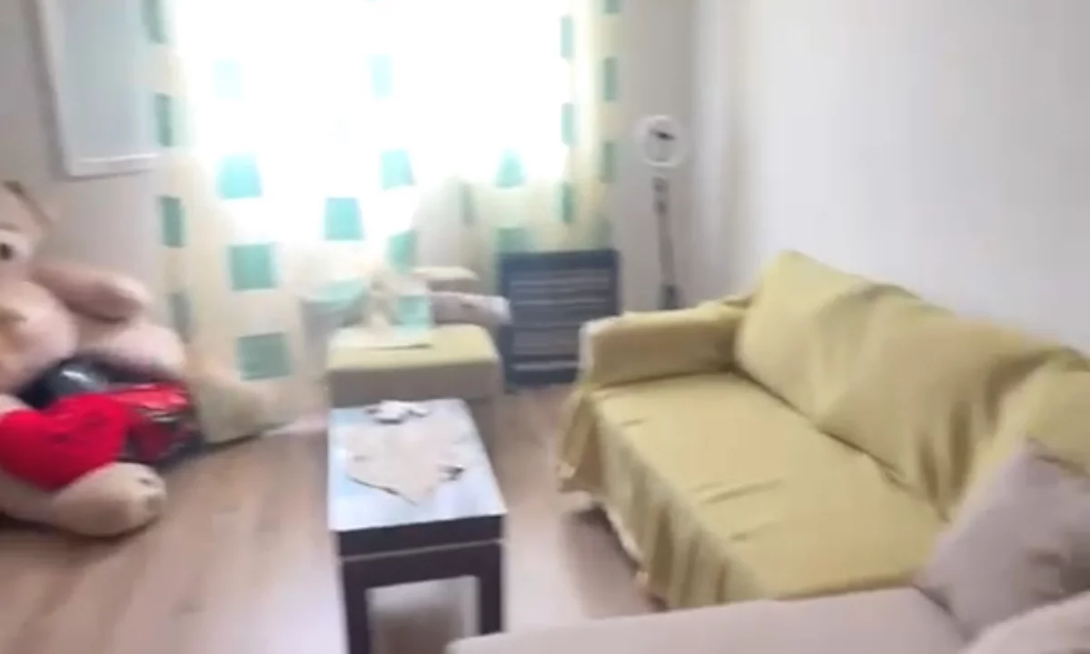 Shtepi me qera Apartament ne Tirane, 1+1, Mobilimi E mobiluar, Pagesa 450  Euro.