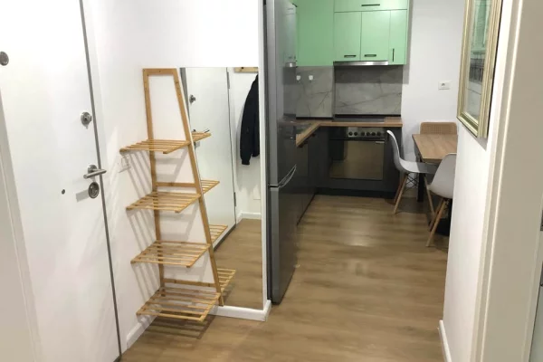 Shtepi me qera Apartament ne Tirane, 1+1, Mobilimi E mobiluar, Pagesa 40,000  Leke.