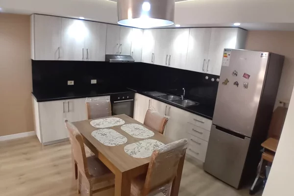 Shtepi me qera Apartament ne Tirane, 1+1, Mobilimi E mobiluar, Pagesa 70,000  Leke.