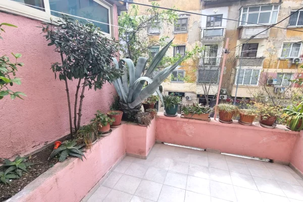 Jepet me qera ambjent per biznes te Kafe Flora.