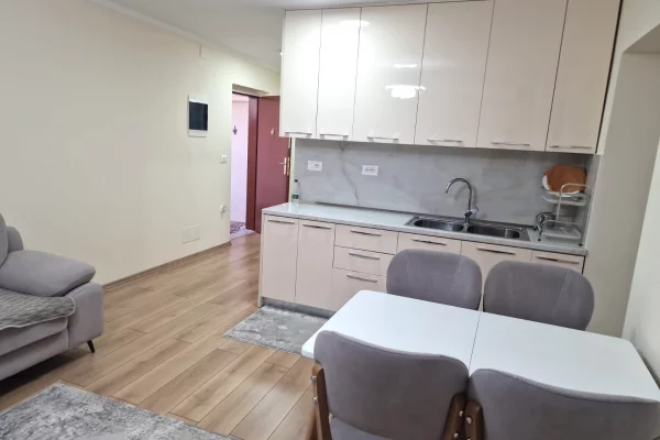 Shtepi ne shitje Apartament ne Tirane, 1+1, Mobilimi E mobiluar, Pagesa 155,000  Euro.