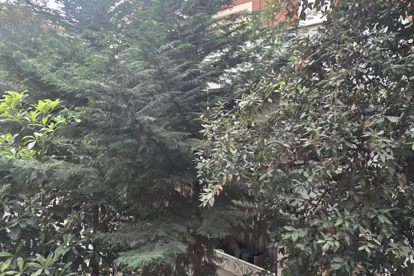 Shtepi ne shitje Apartament ne Tirane, 2+1, Mobilimi Bosh, pa mobiluar, Pagesa 220,000  Euro.