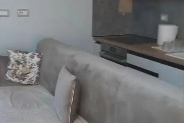 Shtepi me qera Apartament ne Tirane, 1+1, Mobilimi E mobiluar, Pagesa 500  Euro.