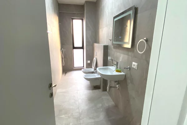 Shtepi me qera Apartament ne Tirane, 2+1, Mobilimi E mobiluar, Pagesa 650  Euro.