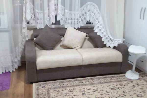 Shtepi me qera Apartament ne Tirane, 1+1, Mobilimi E mobiluar, Pagesa 600  Euro.