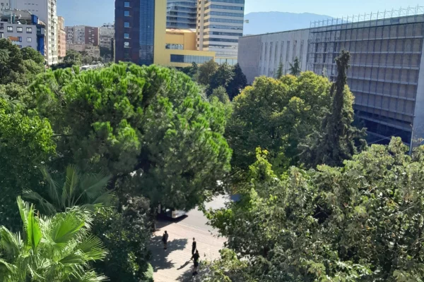 Shtepi me qera Apartament ne Tirane, 1+1, Mobilimi E mobiluar, Pagesa 600  Euro.