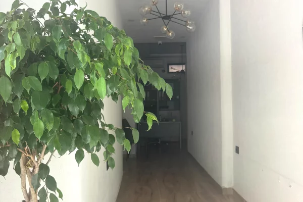 Shitet ambjent biznesi buze rruge prane kryqezimit te Vasil shantos