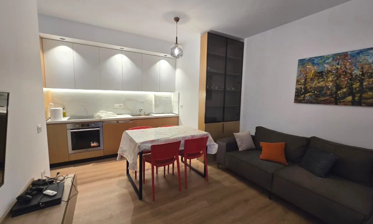 Shtepi ne shitje Apartament ne Tirane, 1+1, Mobilimi E mobiluar, Pagesa 167,000  Euro.