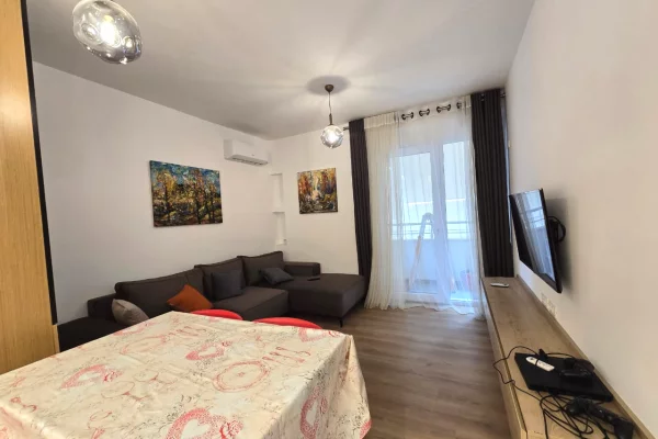 Shtepi ne shitje Apartament ne Tirane, 1+1, Mobilimi E mobiluar, Pagesa 167,000  Euro.