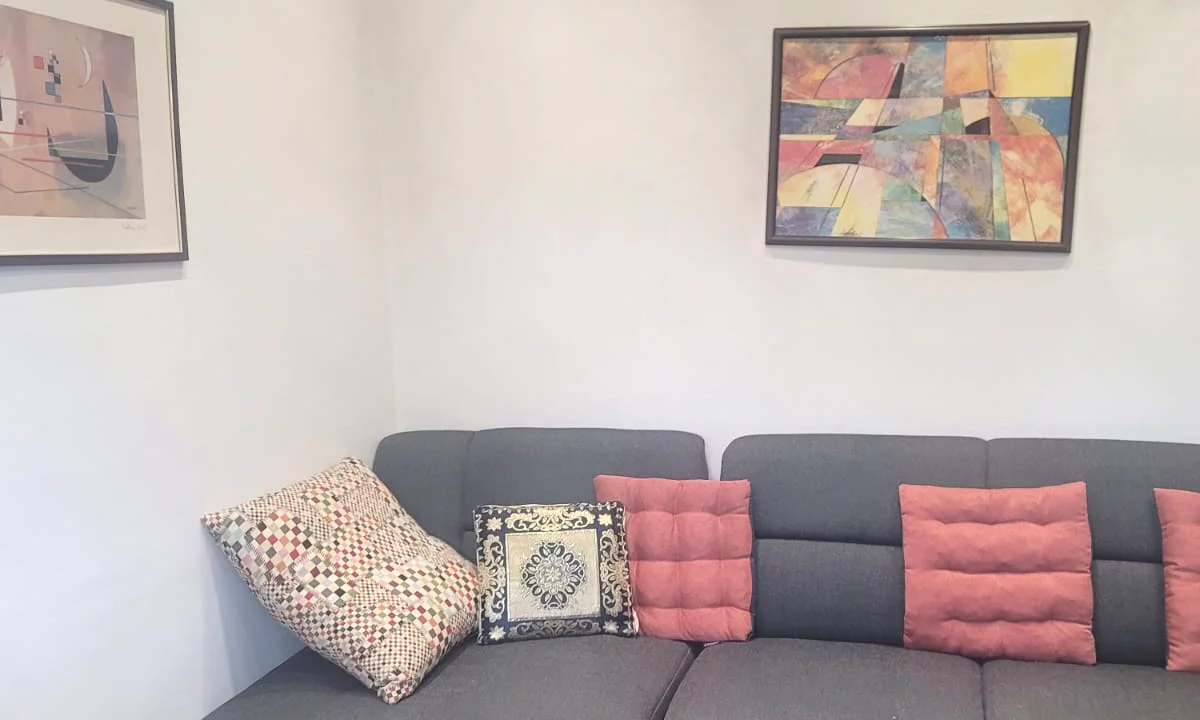 Shtepi me qera Apartament ne Tirane, 1+1, Mobilimi E mobiluar, Pagesa 600  Euro.