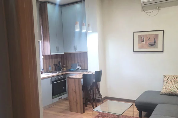 Shtepi me qera Apartament ne Tirane, 1+1, Mobilimi E mobiluar, Pagesa 600  Euro.