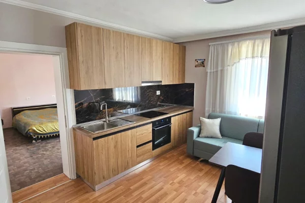 Shtepi me qera Apartament ne Tirane, 1+1, Mobilimi E mobiluar, Pagesa 50,000  Leke.