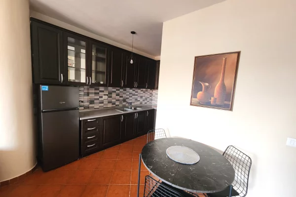 Shtepi me qera Apartament ne Tirane, 1+1, Mobilimi E mobiluar, Pagesa 450  Euro.