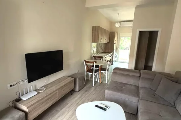 Shtepi me qera 1+1 ne Tirane - 35,000 Leke