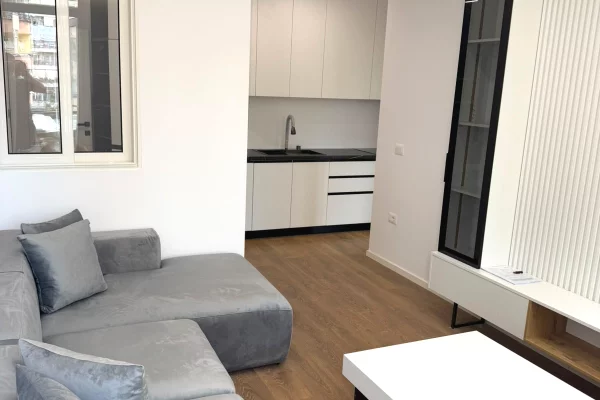Shtepi me qera Apartament ne Tirane, 1+1, Mobilimi E mobiluar, Pagesa 700  Euro.