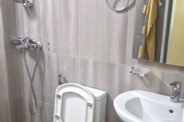 Shtepi me qera Apartament ne Tirane, 1+1, Mobilimi E mobiluar, Pagesa 500  Euro.