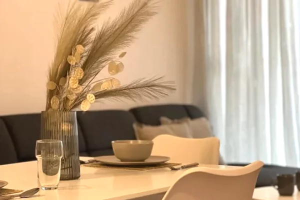 Shtepi me qera Apartament ne Tirane, 1+1, Mobilimi E mobiluar, Pagesa 700  Euro.