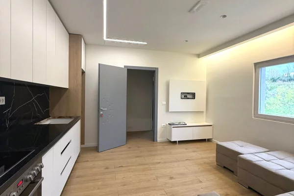Shtepi me qera Apartament ne Tirane, 1+1, Mobilimi E mobiluar, Pagesa 350  Euro.