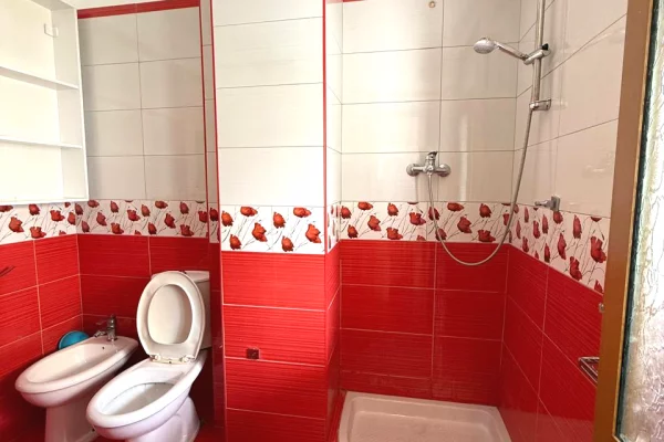 Shtepi me qera Apartament ne Tirane, 1+1, Mobilimi E mobiluar, Pagesa 550  Euro.