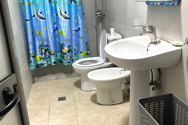 Shtepi me qera Apartament ne Tirane, 1+1, Mobilimi E mobiluar, Pagesa 36,000  Leke.