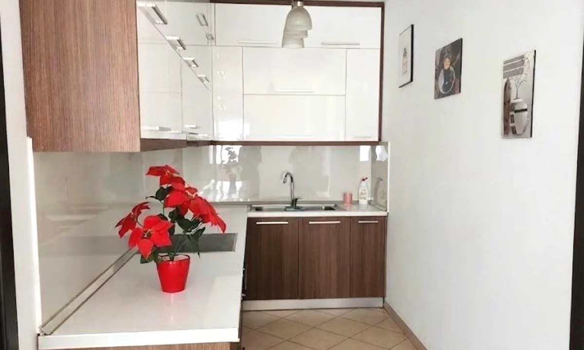 Shtepi me qera Apartament ne Tirane, 2+1, Mobilimi Pjeserisht e mobiluar, Pagesa 550  Euro.