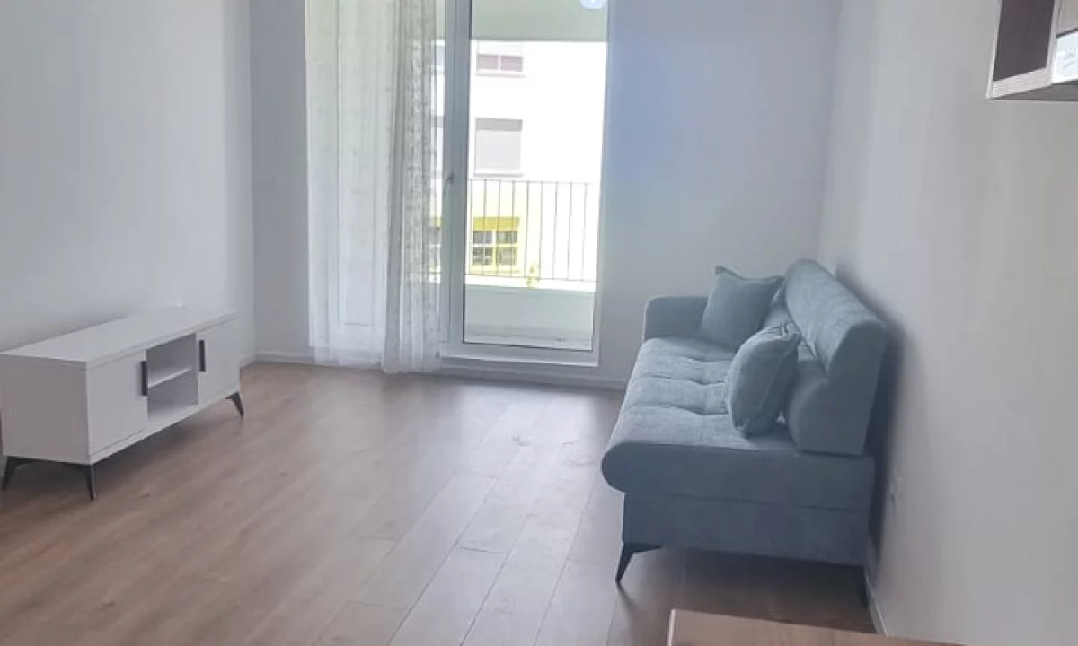 Apartment for rent in Tirana 1+1, Furnished