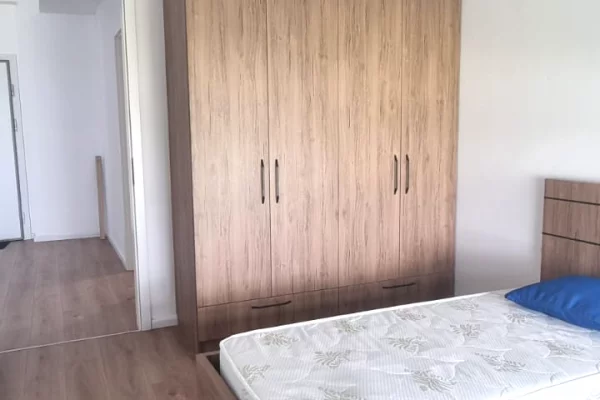 Shtepi me qera Apartament ne Tirane, 1+1, Mobilimi E mobiluar, Pagesa 35,000  Leke.