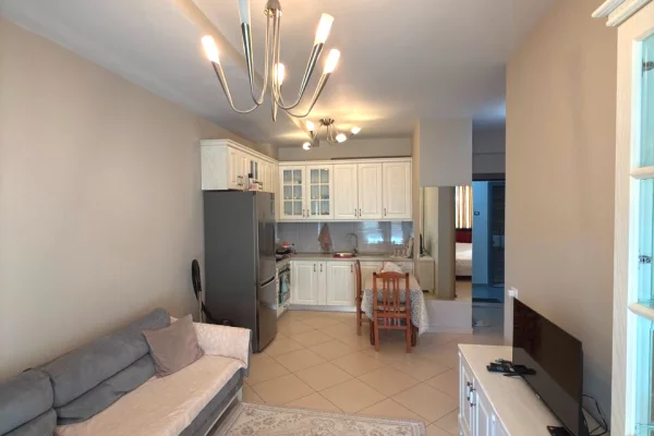 Shtepi ne shitje Apartament ne Tirane, 1+1, Mobilimi E mobiluar, Pagesa 120,000  Euro.