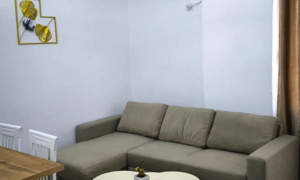 Shtepi me qera Apartament ne Tirane, 1+1, Mobilimi E mobiluar, Pagesa 47,000  Leke.