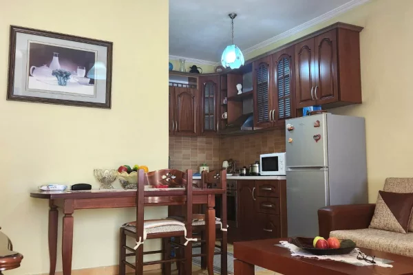 Shtepi me qera Apartament ne Tirane, 1+1, Mobilimi E mobiluar, Pagesa 45,000  Leke.