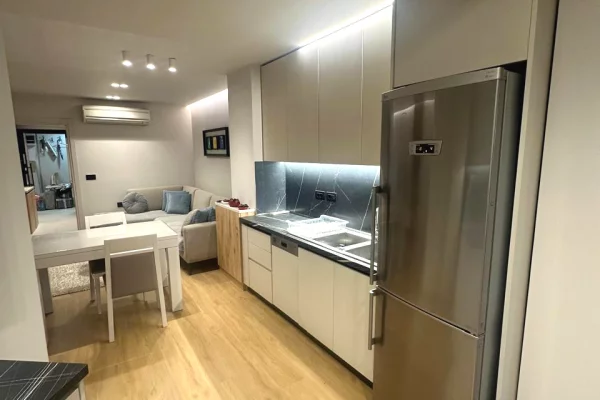 Shtepi me qera Apartament ne Tirane, 1+1, Mobilimi E mobiluar, Pagesa 800  Euro.