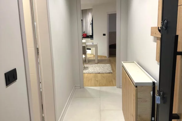 Shtepi me qera Apartament ne Tirane, 1+1, Mobilimi E mobiluar, Pagesa 800  Euro.