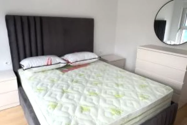 Shtepi me qera Apartament ne Tirane, 1+1, Mobilimi E mobiluar, Pagesa 55,000  Leke.