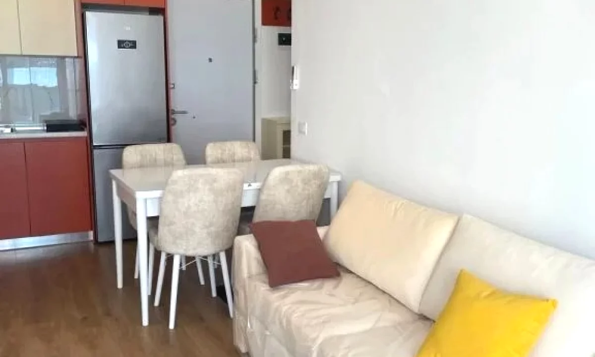 Shtepi me qera Apartament ne Tirane, 1+1, Mobilimi E mobiluar, Pagesa 55,000  Leke.