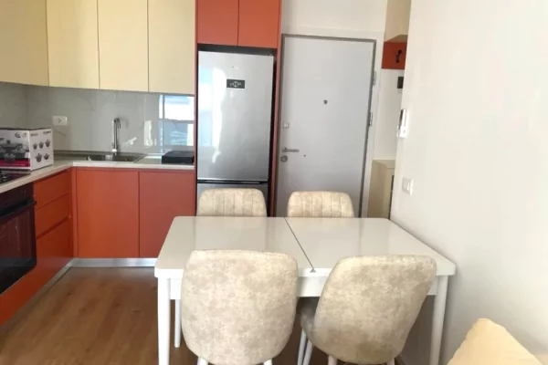 Shtepi me qera Apartament ne Tirane, 1+1, Mobilimi E mobiluar, Pagesa 55,000  Leke.
