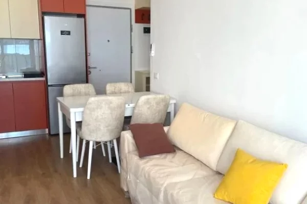 Shtepi me qera 1+1 ne Tirane - 55,000 Leke