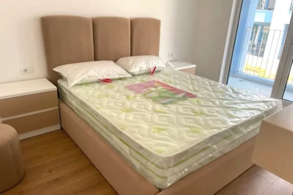 Shtepi me qera Apartament ne Tirane, 1+1, Mobilimi E mobiluar, Pagesa 55,000  Leke.