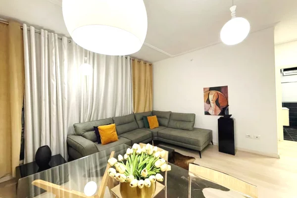 Shtepi ne shitje Apartament ne Tirane, 1+1, Mobilimi E mobiluar, Pagesa 148,000  Euro.