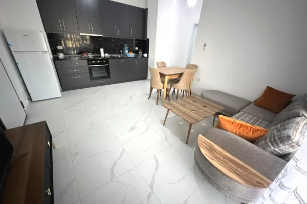 Shtepi me qera Apartament ne Tirane, 1+1, Mobilimi E mobiluar, Pagesa 500  Euro.