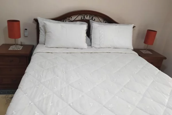 Shtepi me qera Apartament ne Tirane, 2+1, Mobilimi E mobiluar, Pagesa 60,000  Leke.