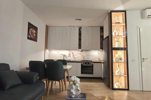 Shtepi me qera Apartament ne Tirane, 1+1, Mobilimi E mobiluar, Pagesa 45,000  Leke.