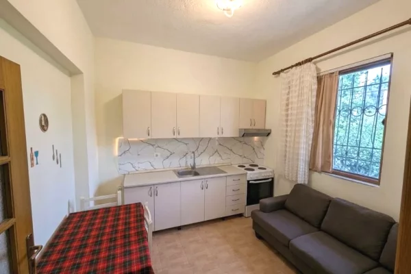 Shtepi me qera 1+1 ne Tirane - 30,000 Leke