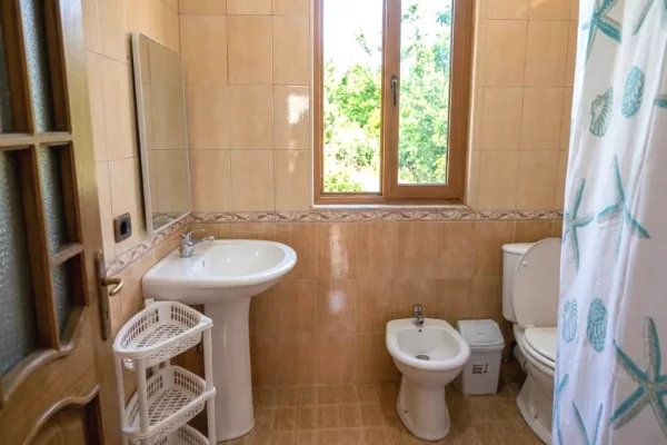 Shtepi me qera Apartament ne Tirane, 1+1, Mobilimi E mobiluar, Pagesa 30,000  Leke.