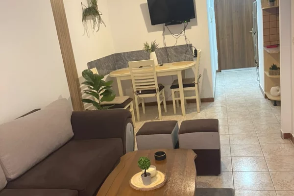 Appartamento in affitto a Tirana 1+1, Arredato