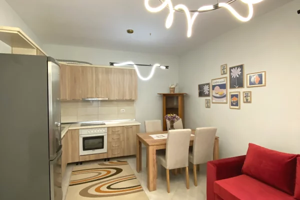 Shtepi me qera Apartament ne Tirane, 1+1, Mobilimi E mobiluar, Pagesa 55,000  Leke.