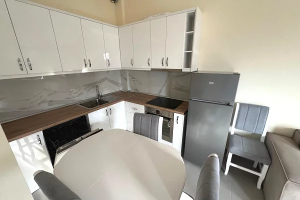 Shtepi me qera Apartament ne Tirane, 2+1, Mobilimi E mobiluar, Pagesa 550  Euro.
