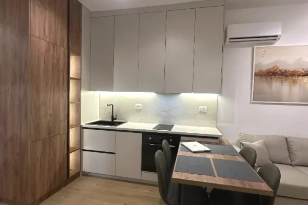 Shtepi me qera Apartament ne Tirane, 1+1, Mobilimi E mobiluar, Pagesa 450  Euro.