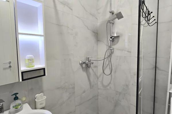 Jepet ambient biznesi tek Zogu i Zi . 