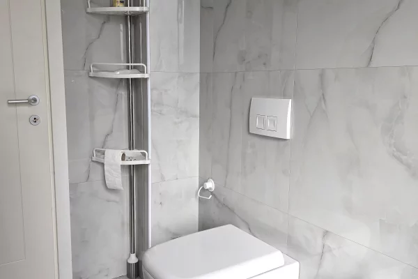 Jepet ambient biznesi tek Zogu i Zi . 